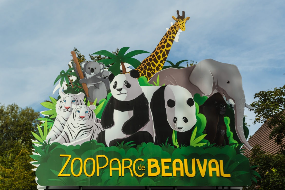 Bienvenue au ZooParc de Beauval ! 